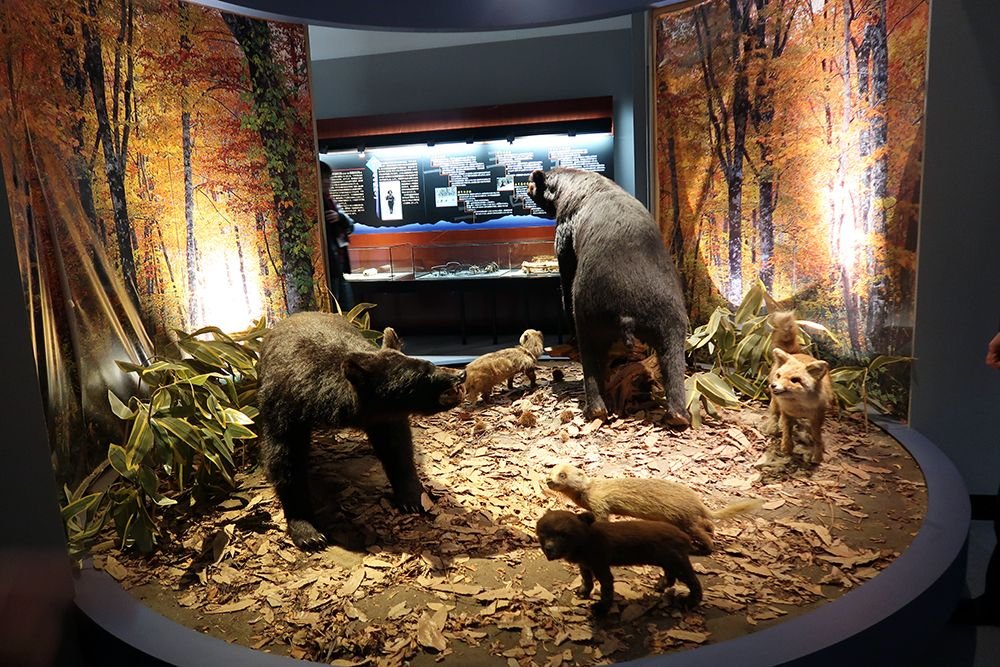 🏛️ 마타기 자료관(마타기 시료칸) 이미지 1